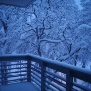 uthewise, Autxmn Love - Frozen Air