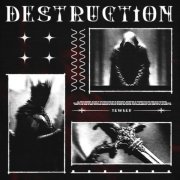 SKWLKR - DESTRUCTION