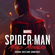 John Paesano - Spider-Training