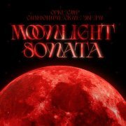 Оркестр «Симфонические звери» - Moonlight Sonata