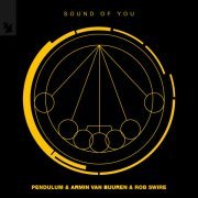 Pendulum, Armin Van Buuren, Rob Swire - Sound of You