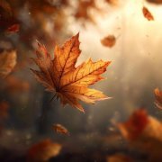 Елена Карпук - На словах так и сяк