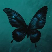 Ashess, vishæs - butterfly effect (Spedup)