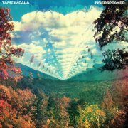 Tame Impala - I Don't Really Mind