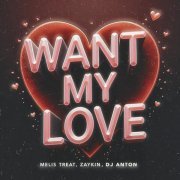 Melis Treat, Zaykin, DJ Anton - Want My Love