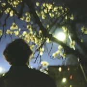 Carapacee - живой ли я?