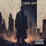 СанКор, Ашир - Платформа