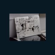 Isolée - Toern