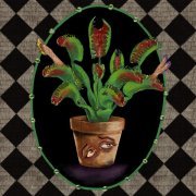 Luvcat - The Kazimier Garden