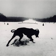 Bella1999 - Предохранитель