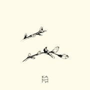 Канги - Весна
