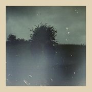 Bremer/McCoy - She's Alive