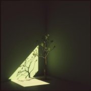 СДП - Я всегда твердил, что судьба — игра