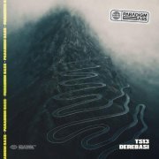 TS13 - Derebasi