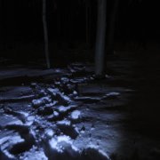 ВЛАЖНОСТЬ - Письмо