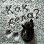 whyspurky - Как дела?