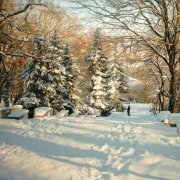 Ночь. Улица. Фонарь. - Снегопад