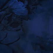 эфемерная - бессонница