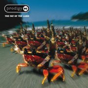 The Prodigy - Mindfields