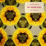 Calvin Harris, Tom Grennan - By Your Side