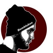 Raf4ik - Bumblebee