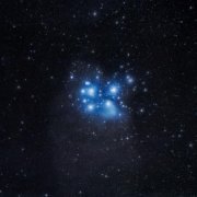 seen twice, Money Flip, fluff - timeless