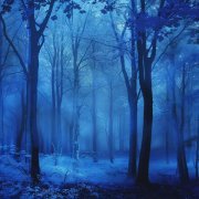 FourX, Flwsh - echoes dusk