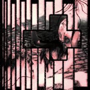 BLAZER 993 - ублюдком