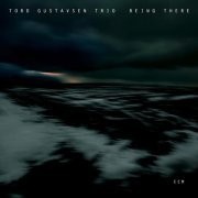 Tord Gustavsen Trio - At Home