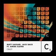 Matt Sassari, Jack Back, David Guetta, Amira Eldine - Crazy (Extended Mix)