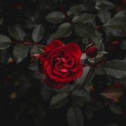 RYMAR, Джиос - Не исчезай