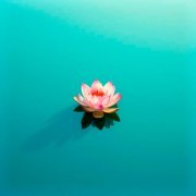 Музыка для медитации, Музыка для йоги, Музыка для Сна, Успокаивающая музыка, Meditation Music - Ночные гармонии для расслабления