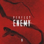 Breakdown of Sanity - Perfect Enemy