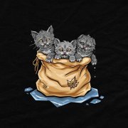 Эсчевский - Трудности