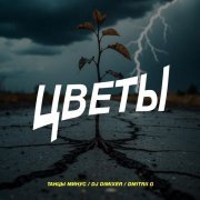 Танцы минус, DJ DimixeR, Dmitrii G - Цветы (Remix)