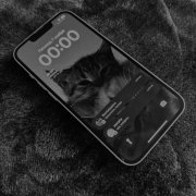 был(а)давно, Morphy - проснись милая