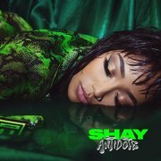 Shay - Amour & désastres