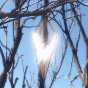 vibermx - MONTAGEM NO BATIDAO