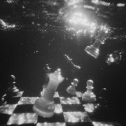 вика кравцова - хрестоматия подводной жизни