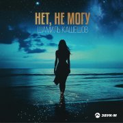 Шамиль Кашешов - Нет, не могу