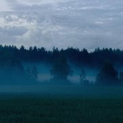 Money Flip - i tried to forget