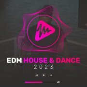 Rene Rodrigezz - EDM House & Dance 2023