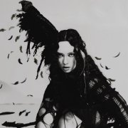 Kasia - Птица
