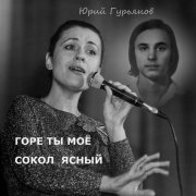 Валентина Толкунова - Сокол Ясный