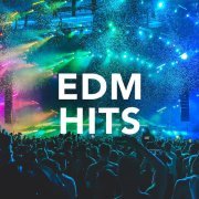 Maroon 5, Alesso - This Summer - Maroon 5 vs. Alesso