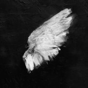 Keendy - Если меня...