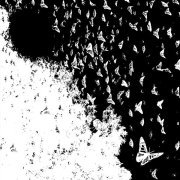 GOOD YARD - каждую ночь