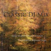Johann Strauss II - Classic DJ Mix - Piano & Orchestra