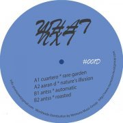 Aaran D - Nature's Illusion