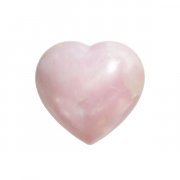 Тима ищет свет - мир сошел с ума